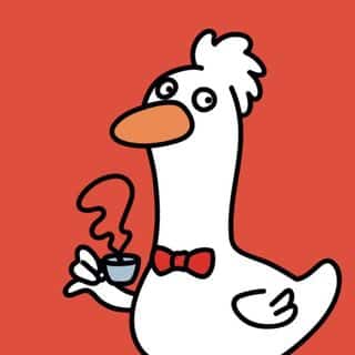 Contos do Ninho - Cafés especiais da agrofloresta