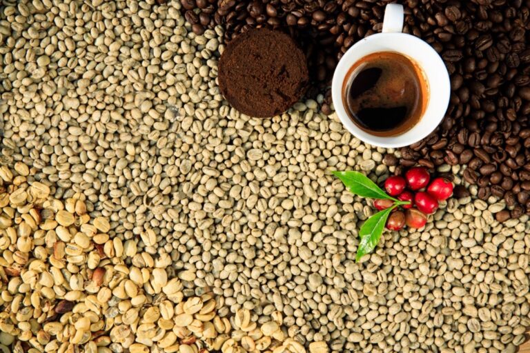 Ranking das Melhores Marcas de Café Especial do Mundo