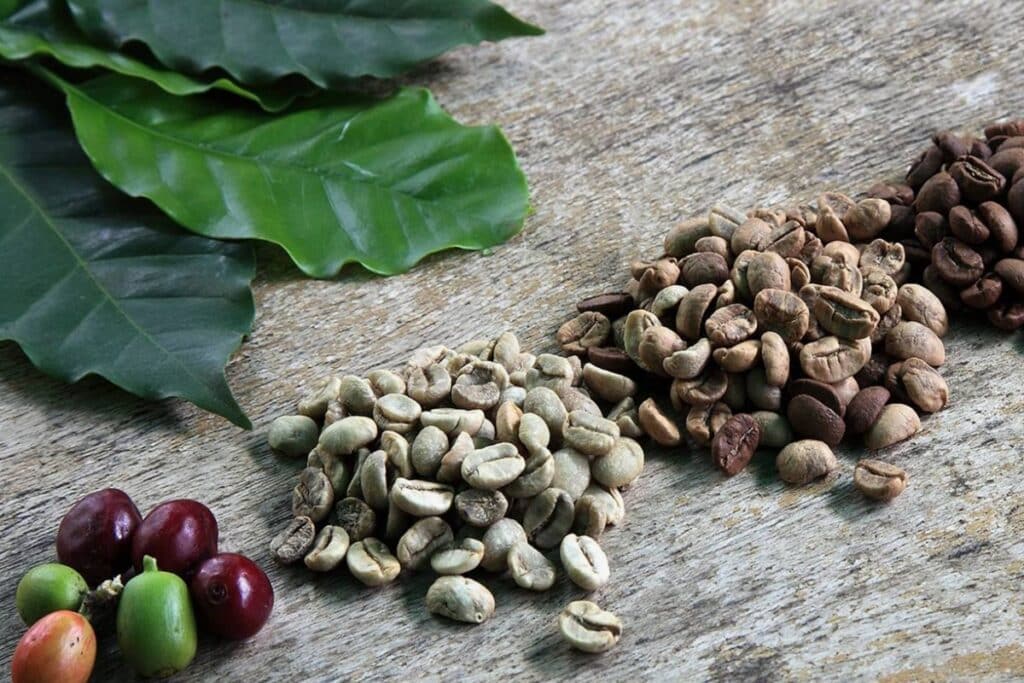 diferentes grãos de café