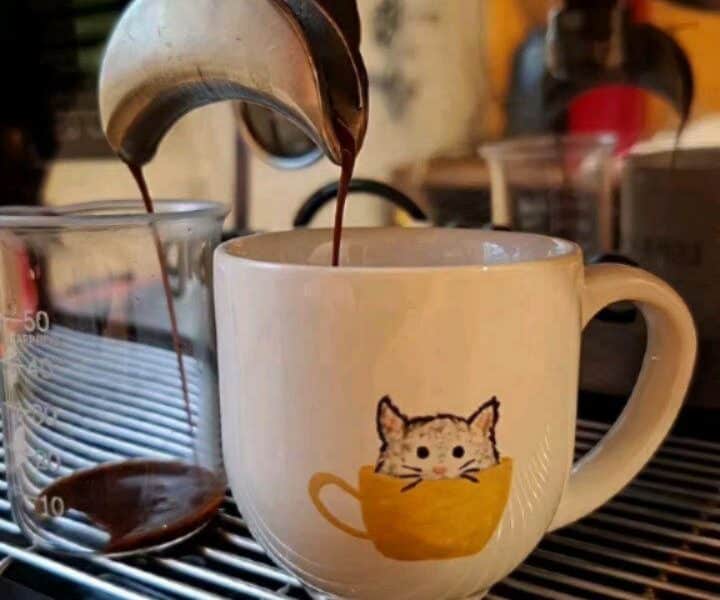 Maranta Café