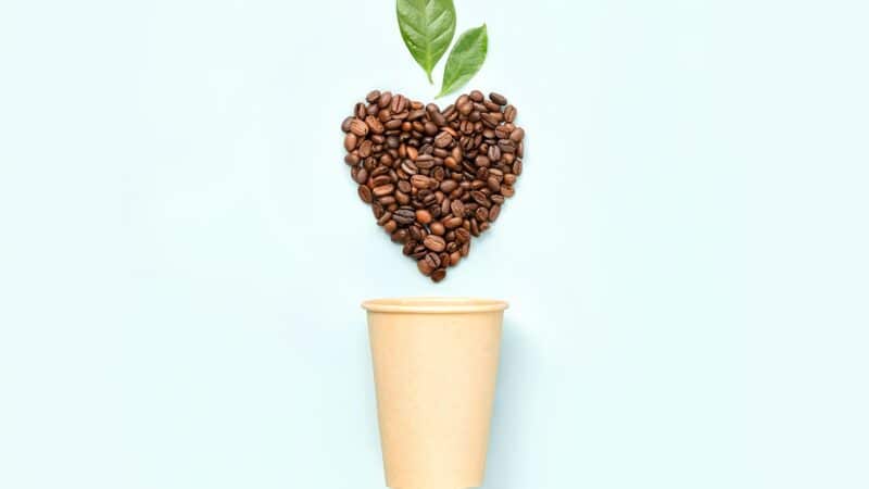 Café Ecológico
