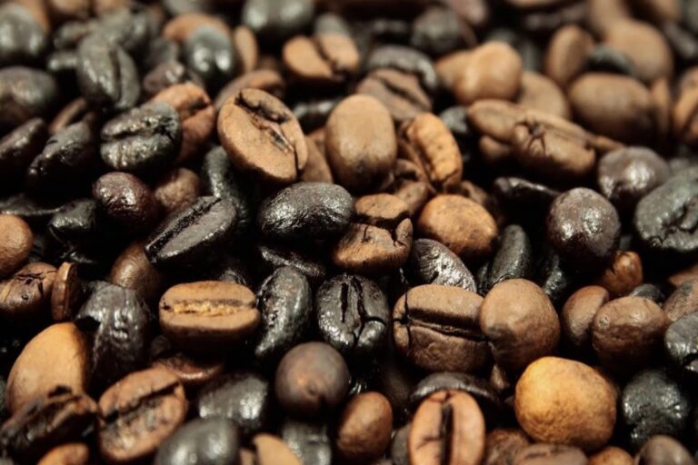 grãos ruins de café