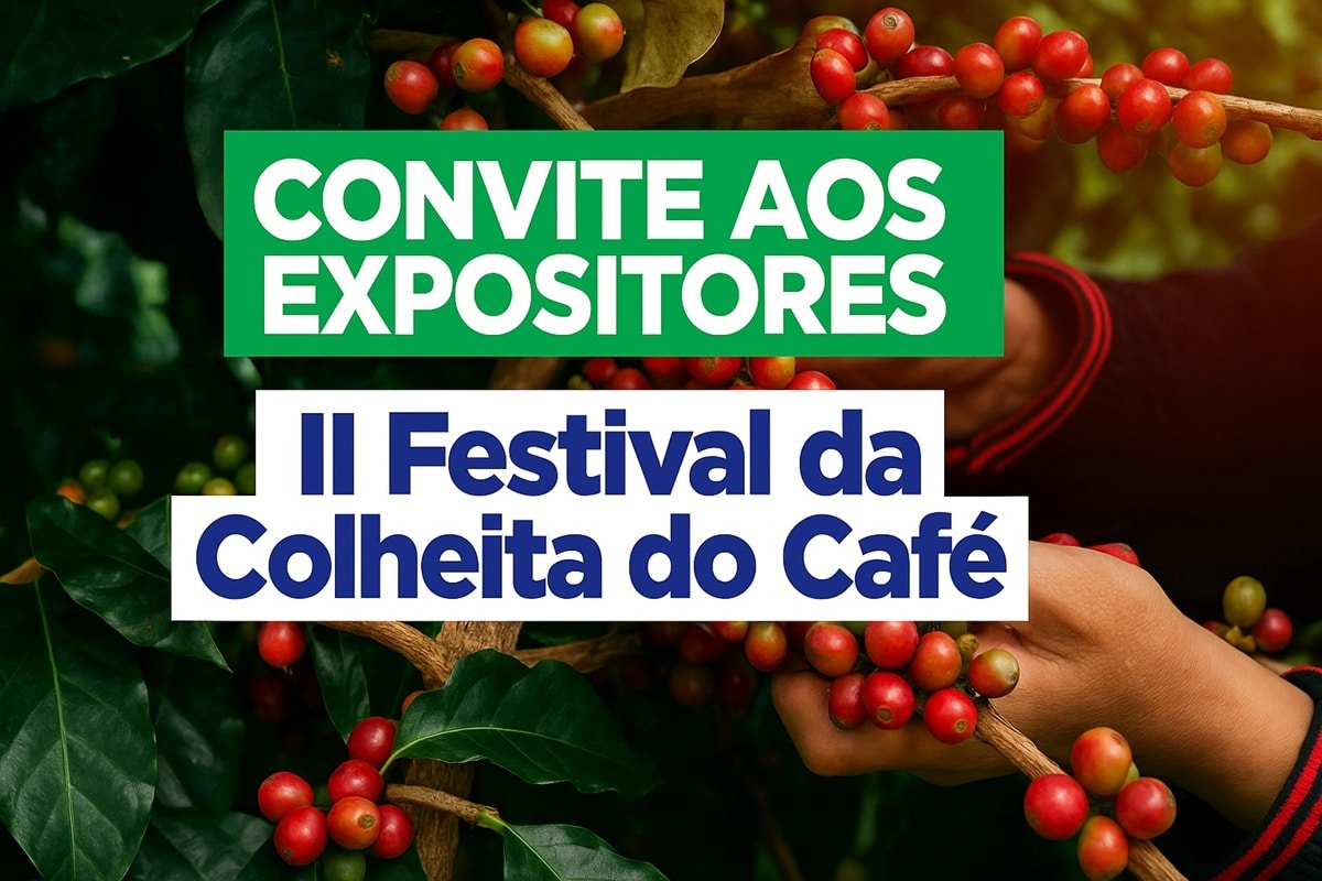 colheita do café