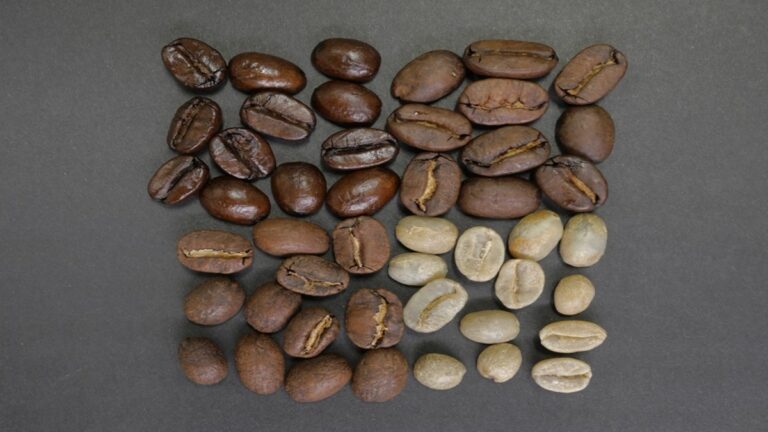 Quais são os nomes dos tipos de grãos de café