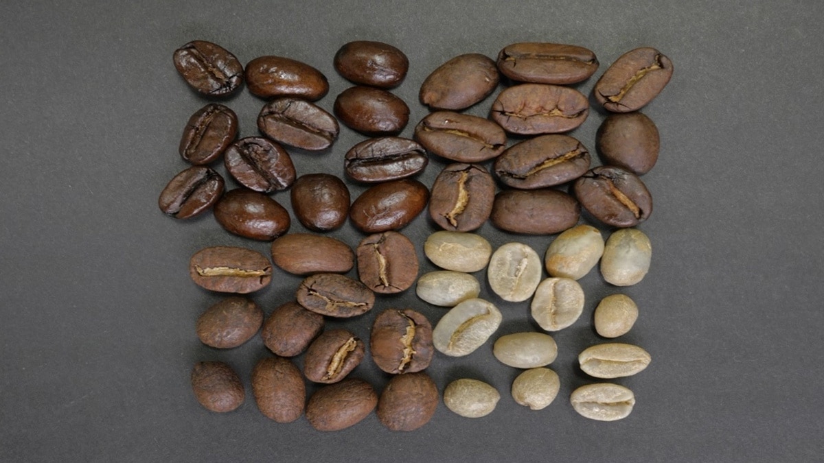 Quais são os nomes dos tipos de grãos de café
