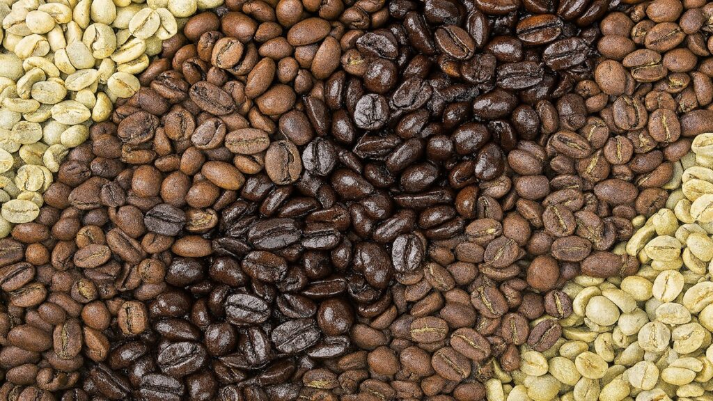 tipos de grãos de café