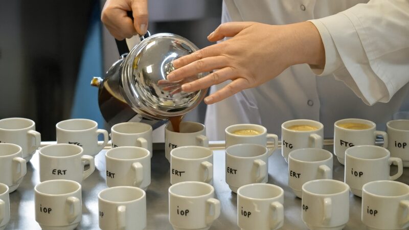curso de degustadores de café