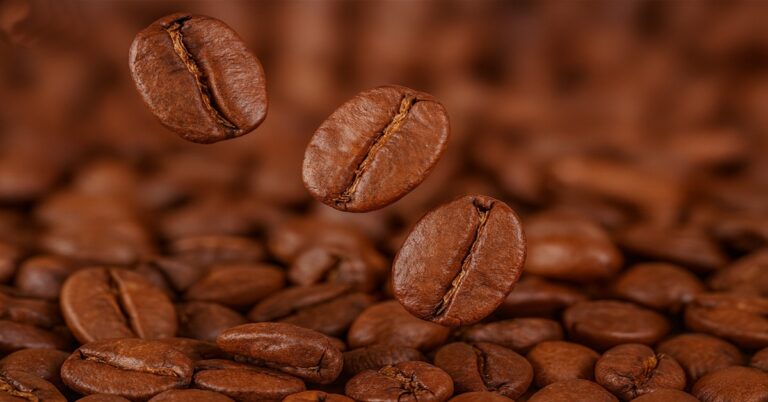 Quais são os tipos de grãos de café