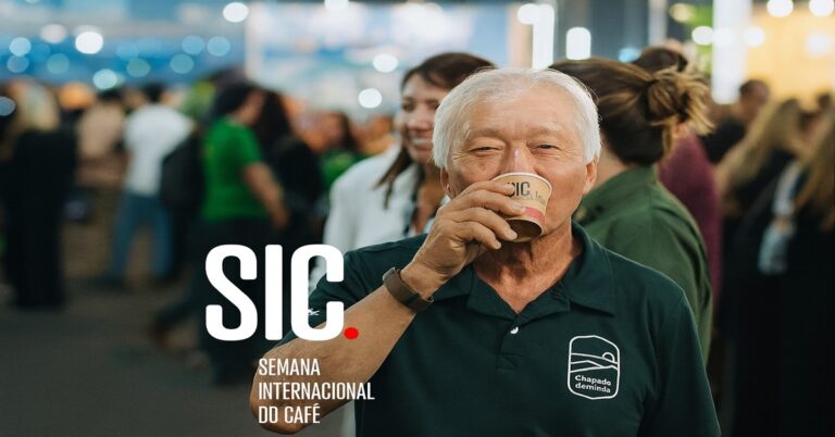 Quanto está custando a saca do Café em 2025