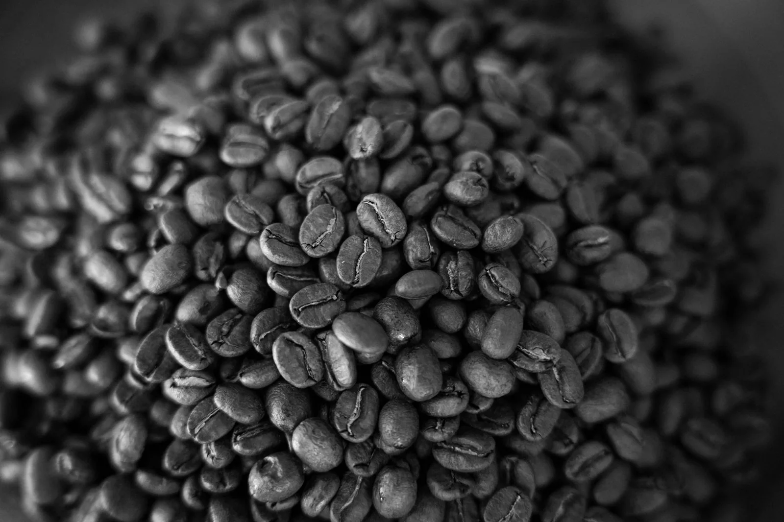 Café com cevada: como identificar no seu pó