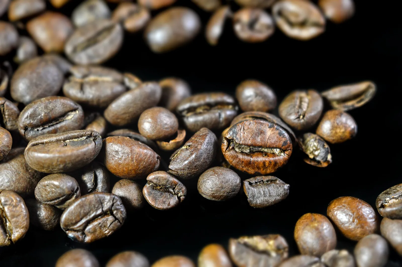 Café peaberry (grão moca): o que é o grão redondo