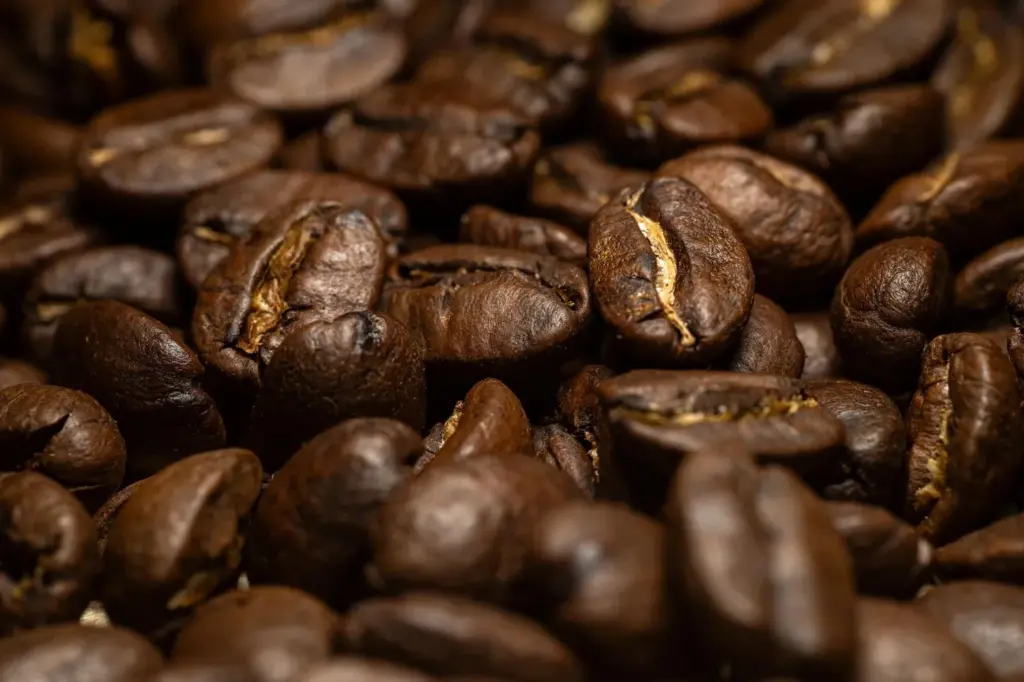 Grãos de café recém-torrados