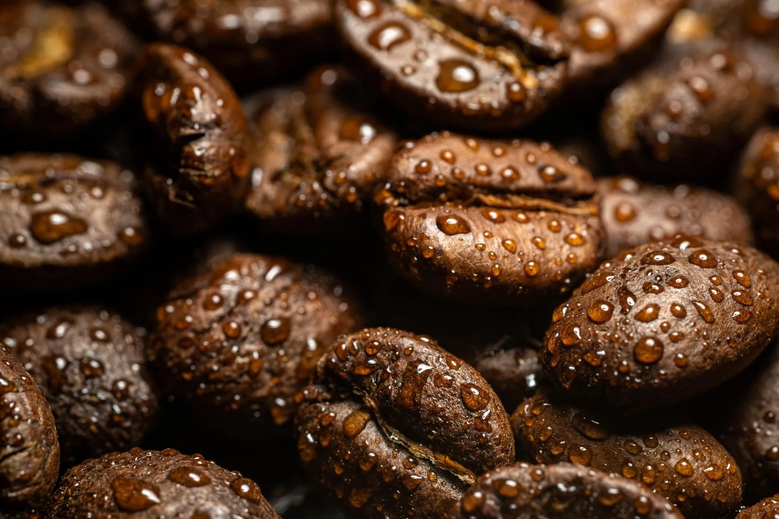 Café tem proteína e potássio? Os nutrientes do grão
