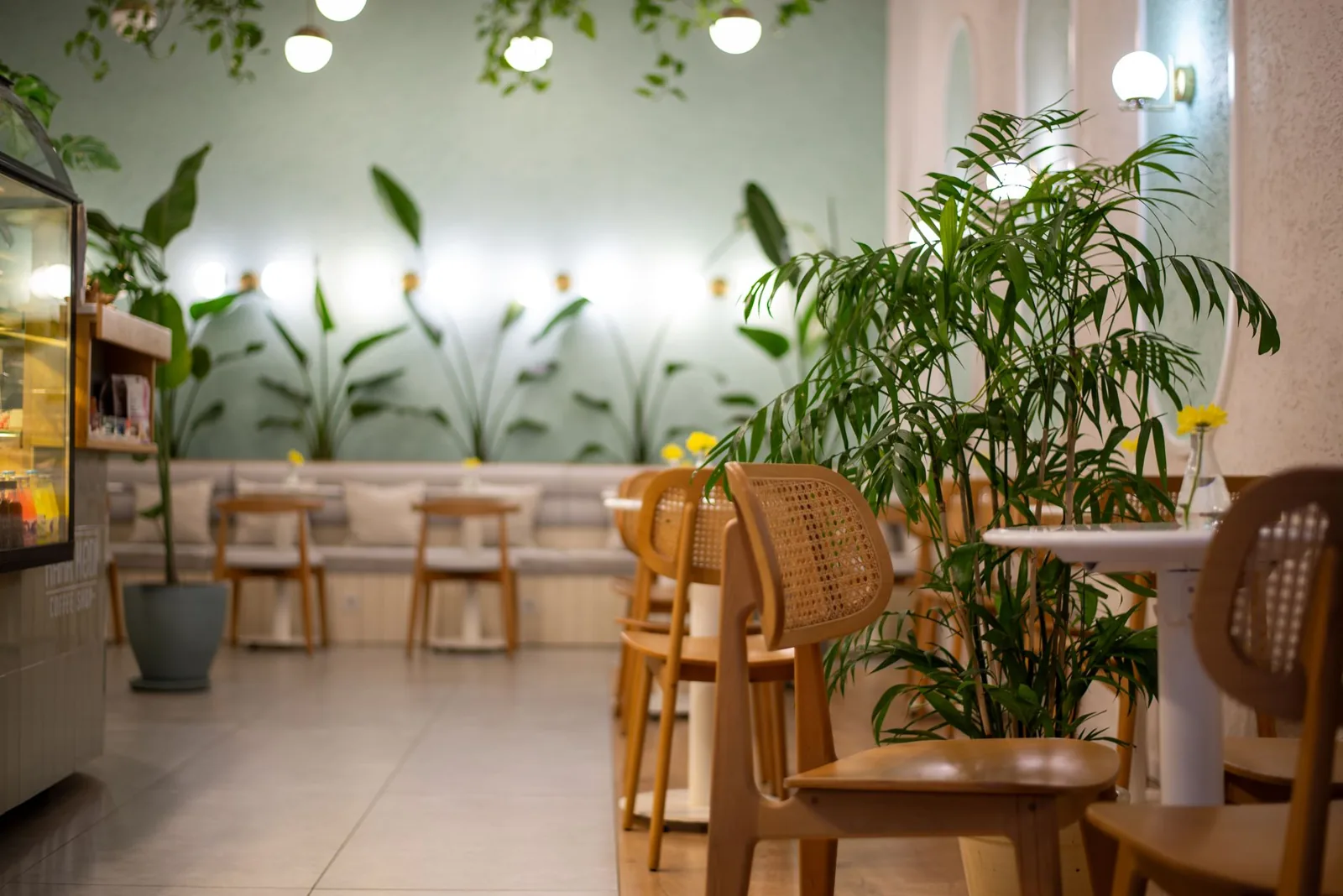 Cafeterias instagramáveis: o que faz uma cafeteria bonita