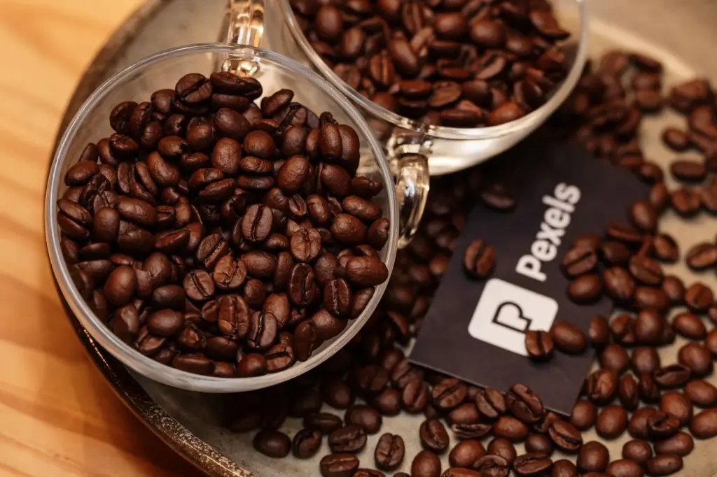 Cafés especiais perto de você: guia para iniciantes