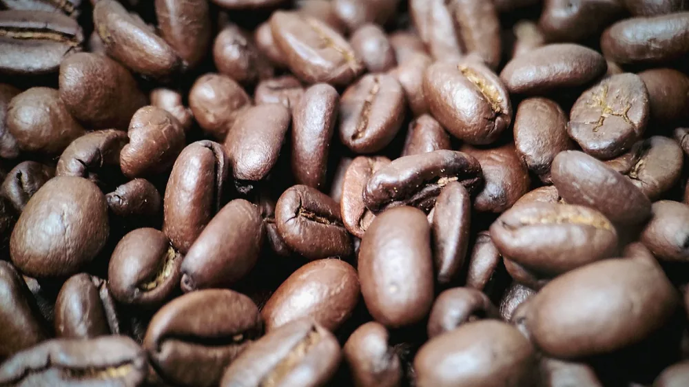 Grãos de café torrados de perto