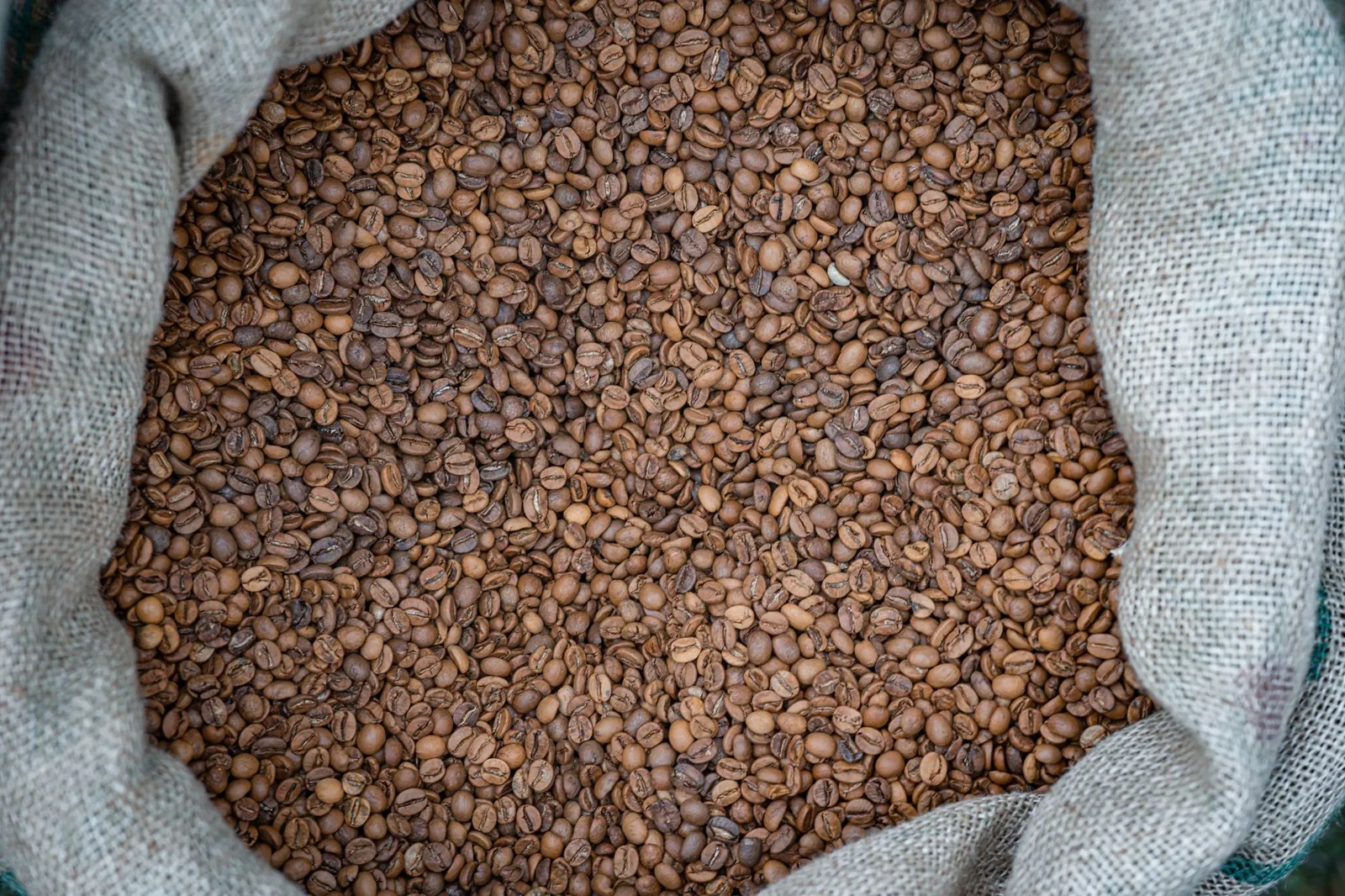 Denominação de origem no café: o que significa