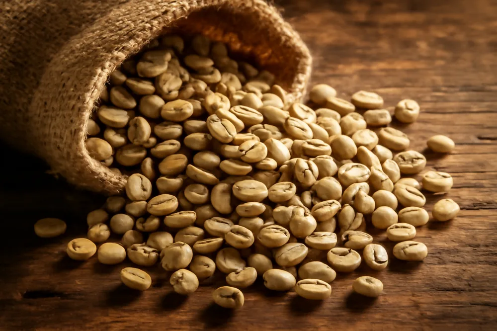 Sacas de café verde de diferentes origens sobre uma mesa