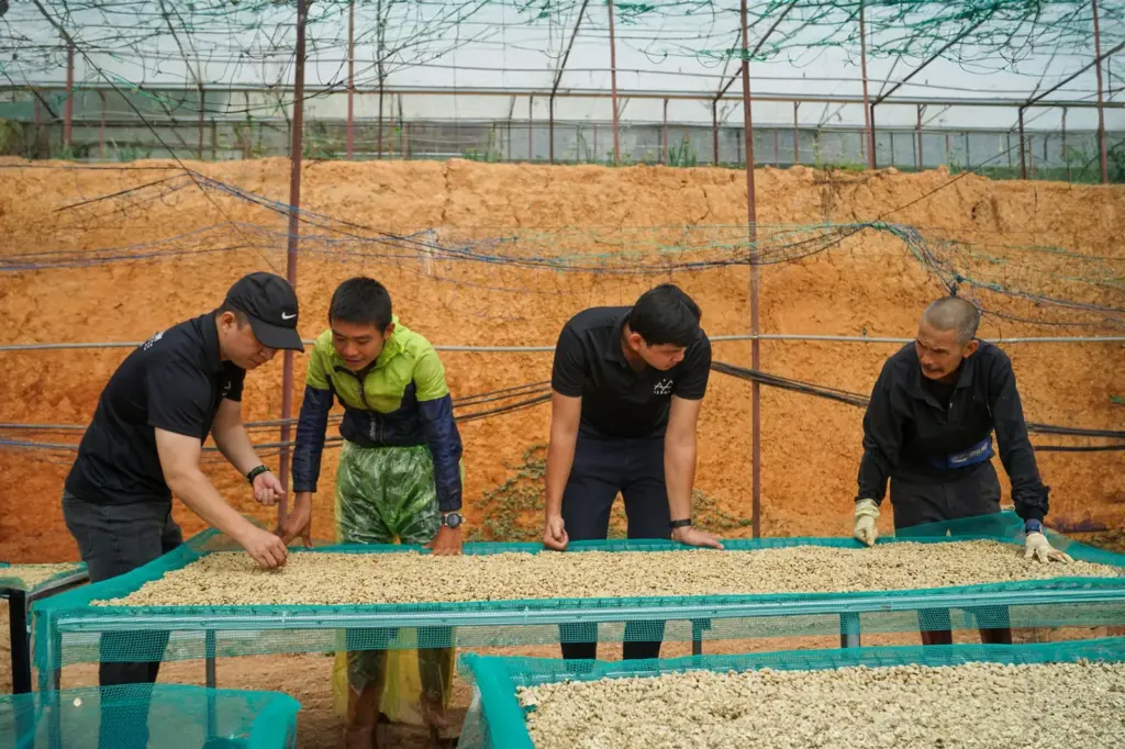Fazendas de café para visitar no Brasil