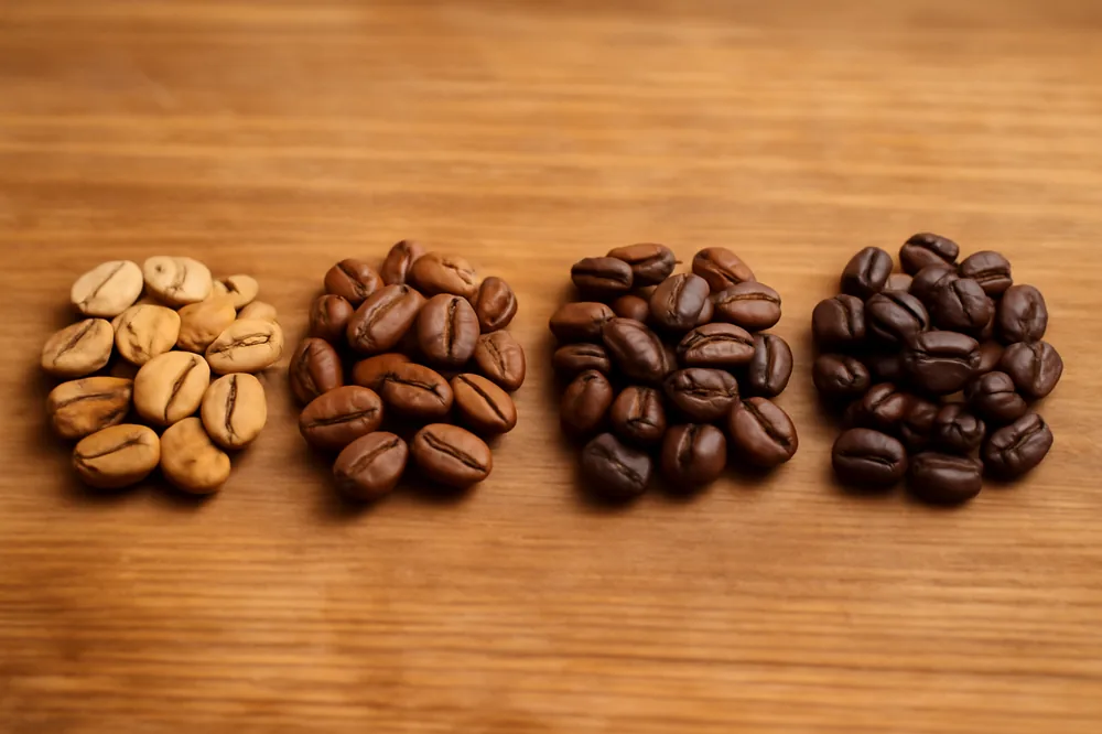 Grãos de café em quatro níveis de torra enfileirados