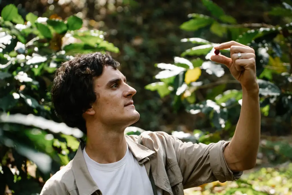 Por que produtores de café especial mudam as fazendas