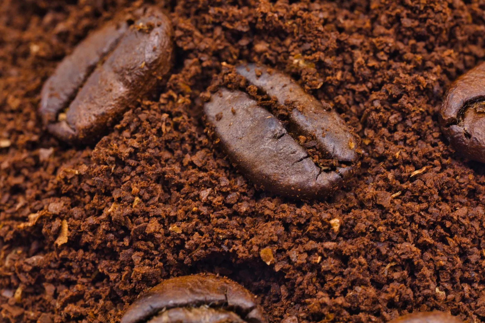 Reaproveitar o pó de café: dá pra fazer uma segunda extração?