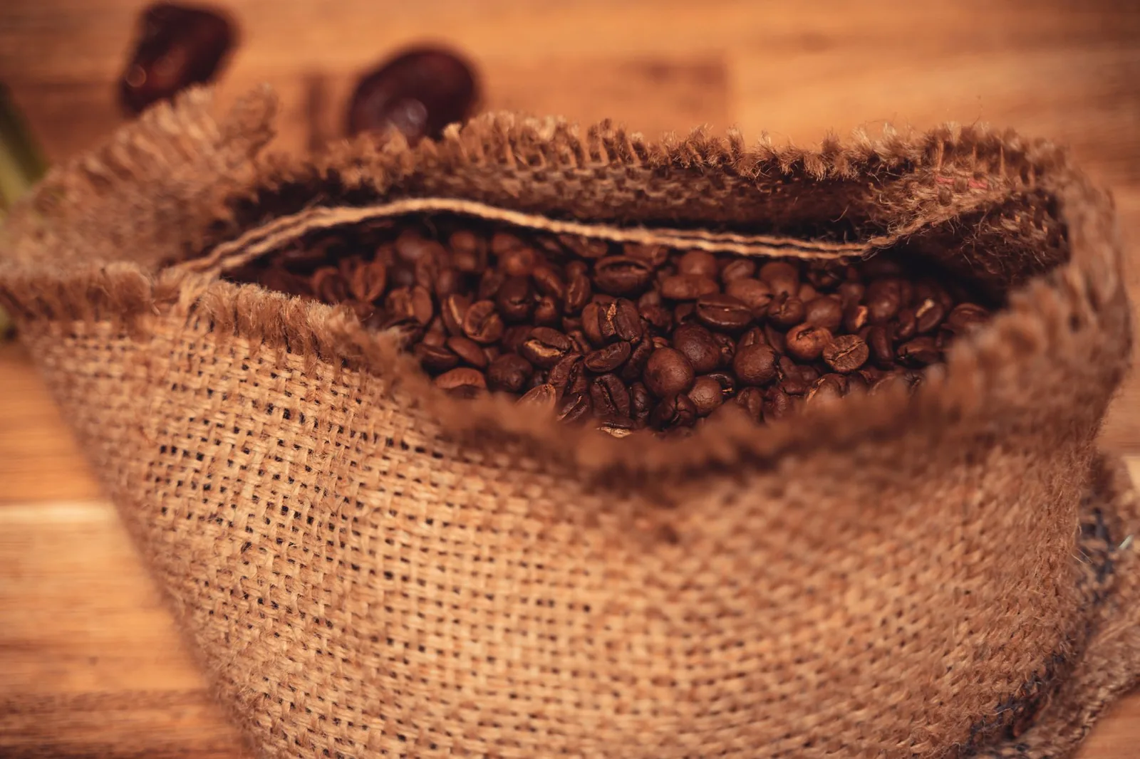 Angola: o gigante do café que desapareceu do mapa