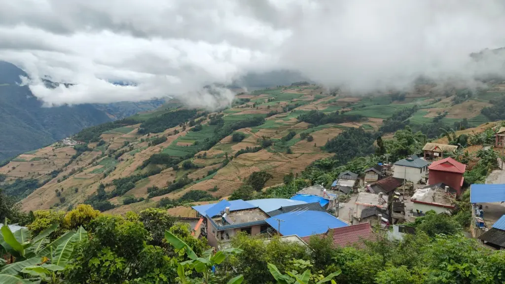 Café da China: como Yunnan virou região produtora