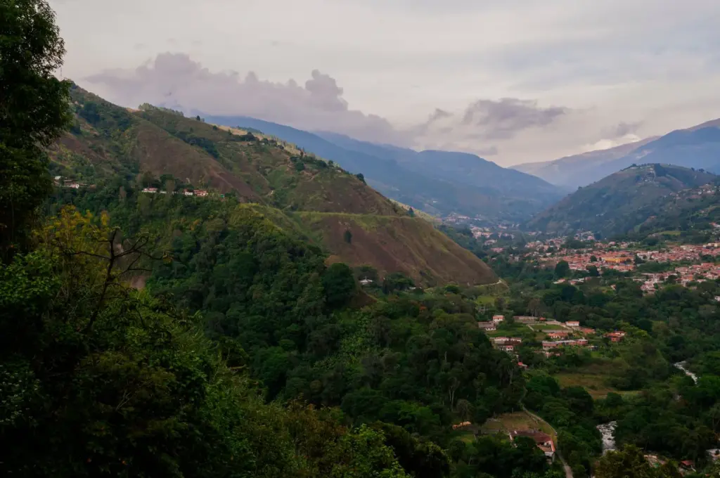 Café da Venezuela: o gigante que sumiu do mapa