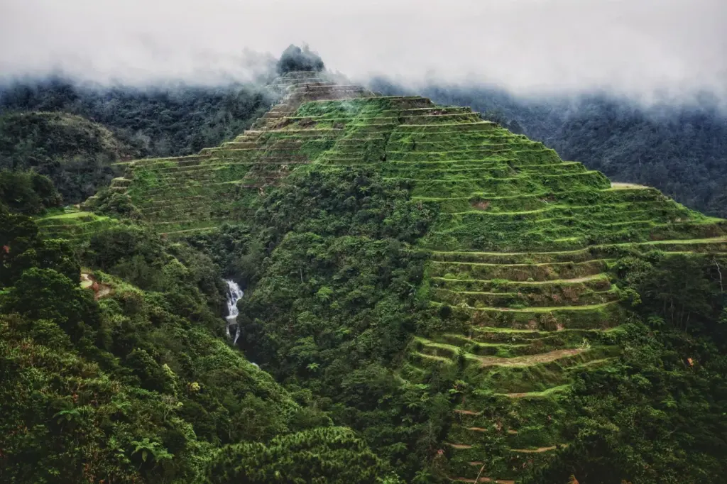 Café das Filipinas: o barako e a herança colonial