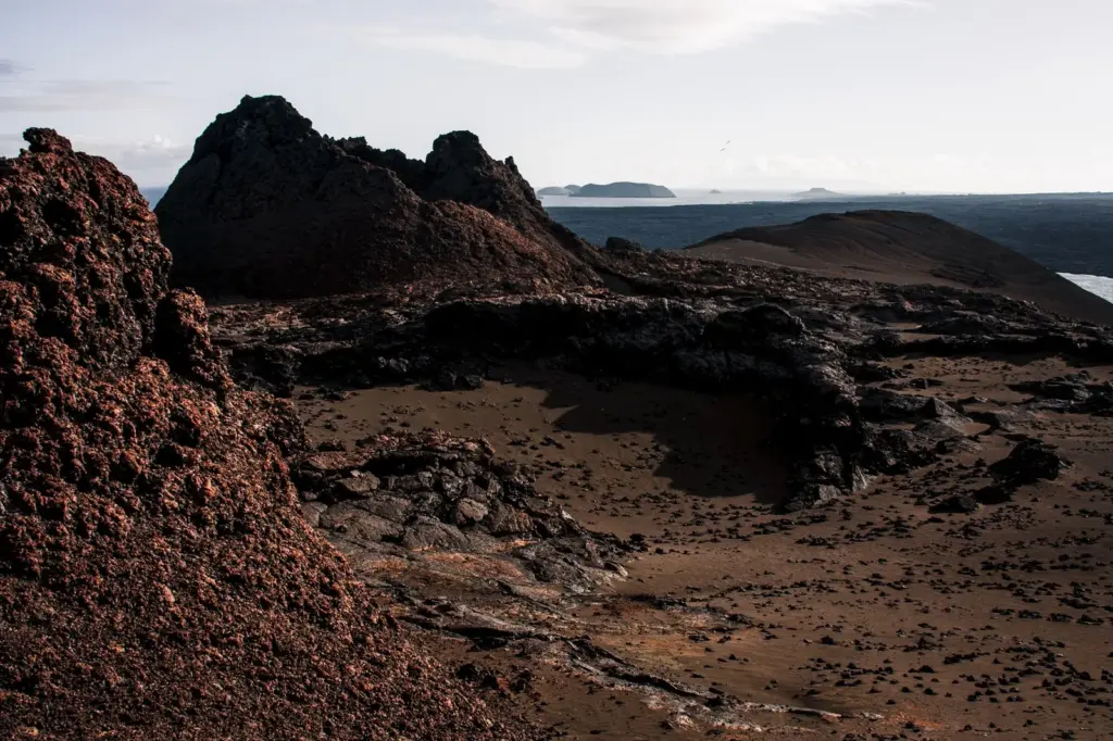 Café de Galápagos: o grão das ilhas de Darwin