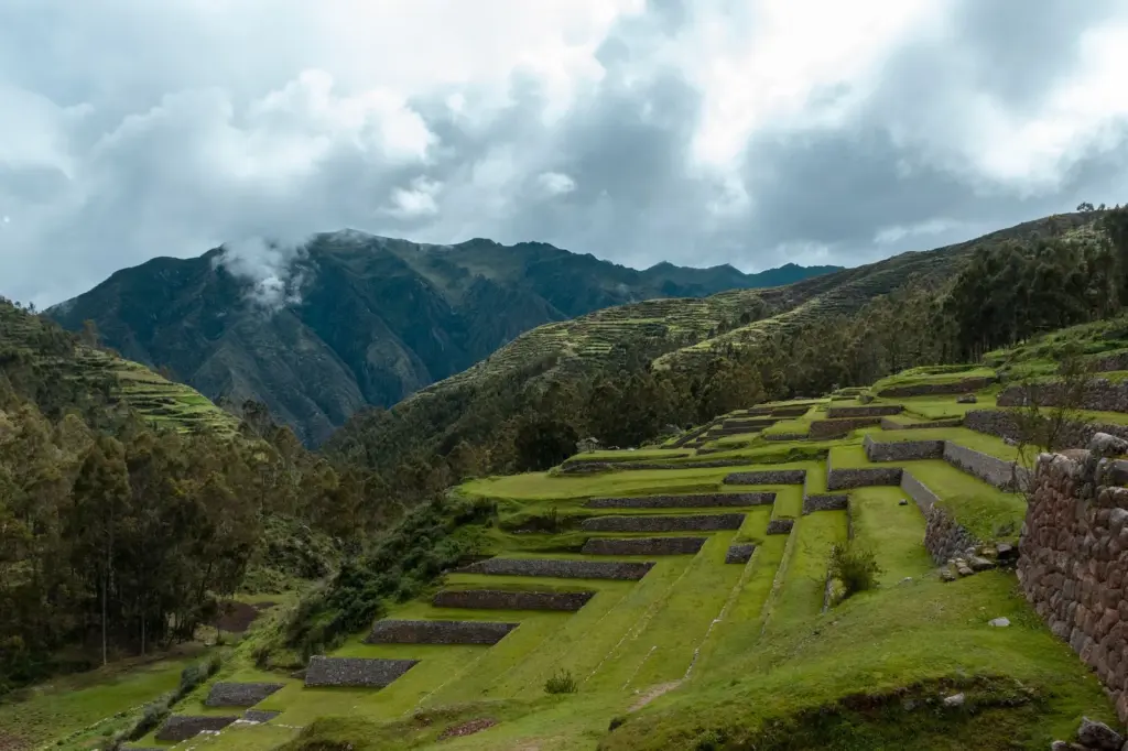 Café do Peru: o vizinho discreto que cresce nas alturas