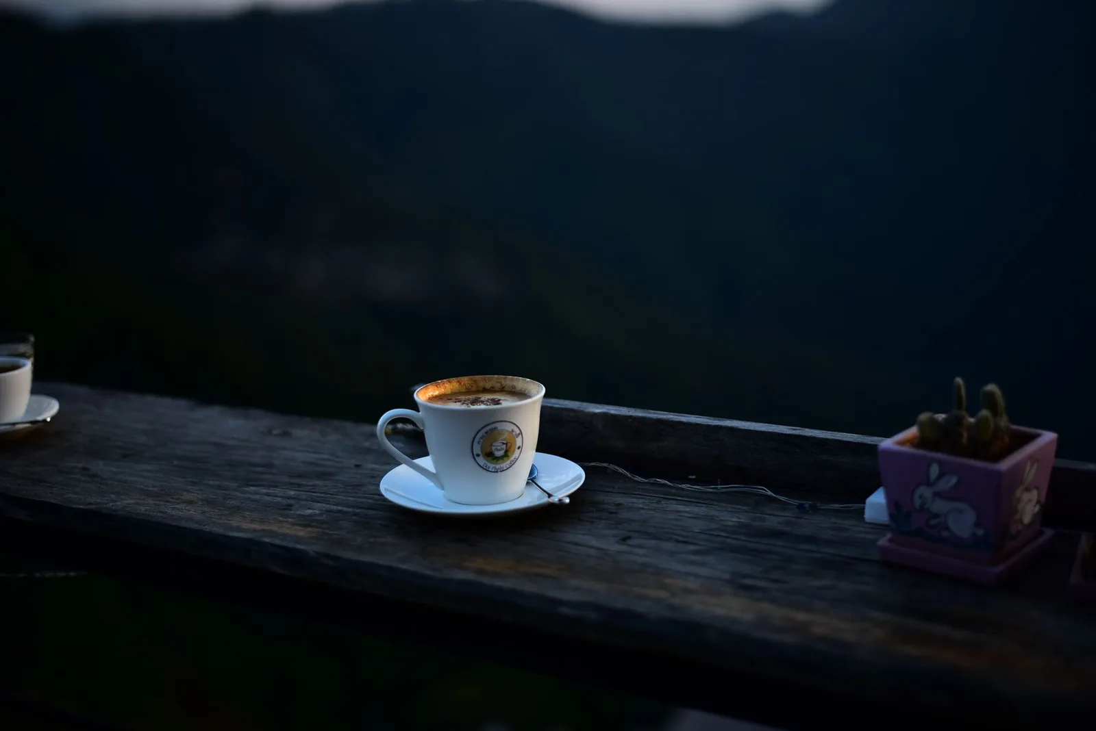 Café e sono: o que a cafeína faz com a sua noite