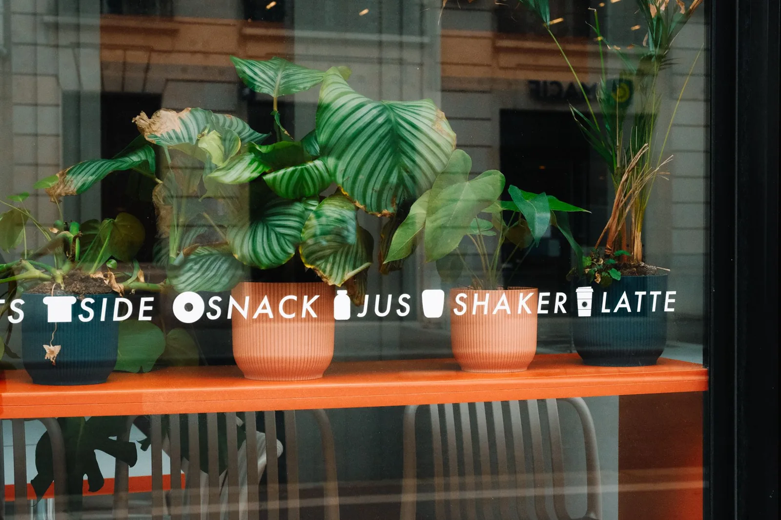 Cafeterias veganas: opções além do leite tradicional