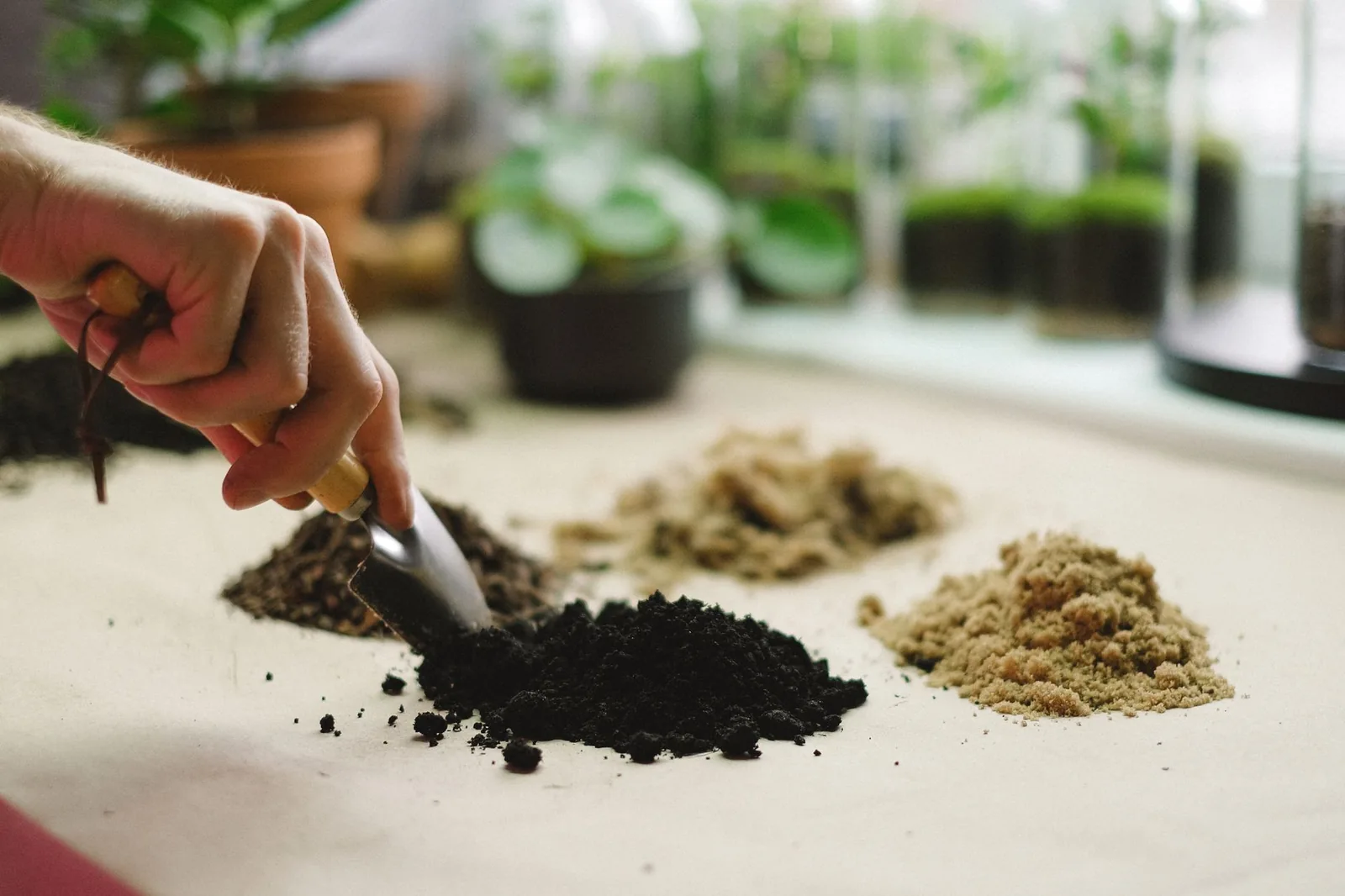 Cápsulas usadas: como descartar e reciclar do jeito certo