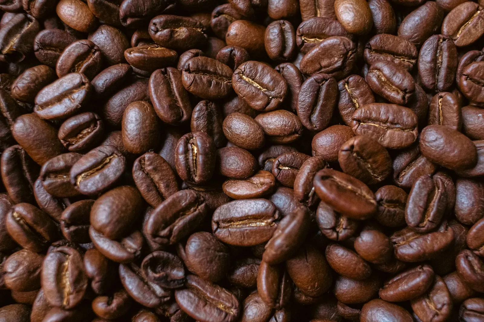Cup of Excellence: como funciona o prêmio dos cafés especiais