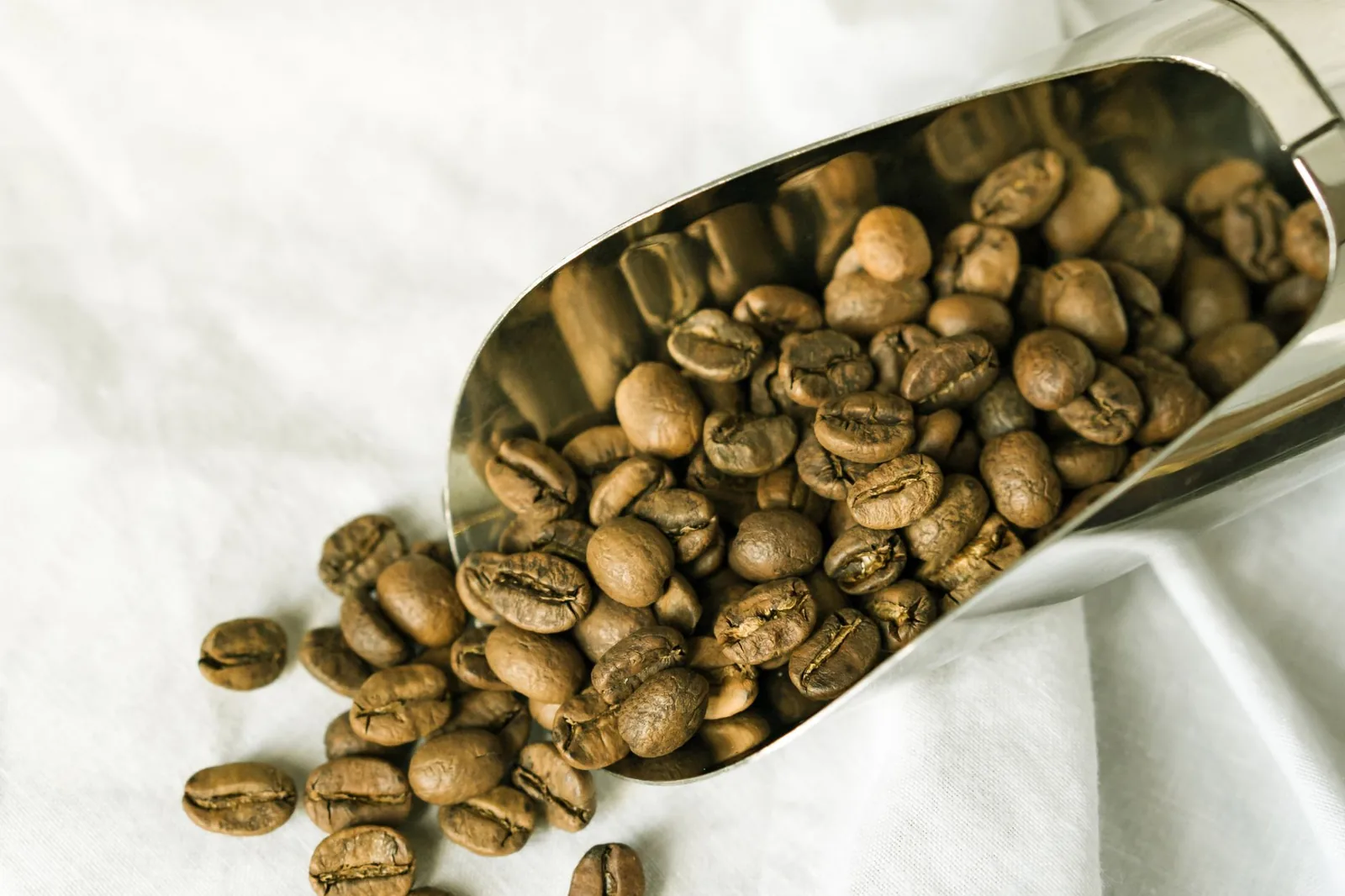Como saber se o café é fresco pela data de torra