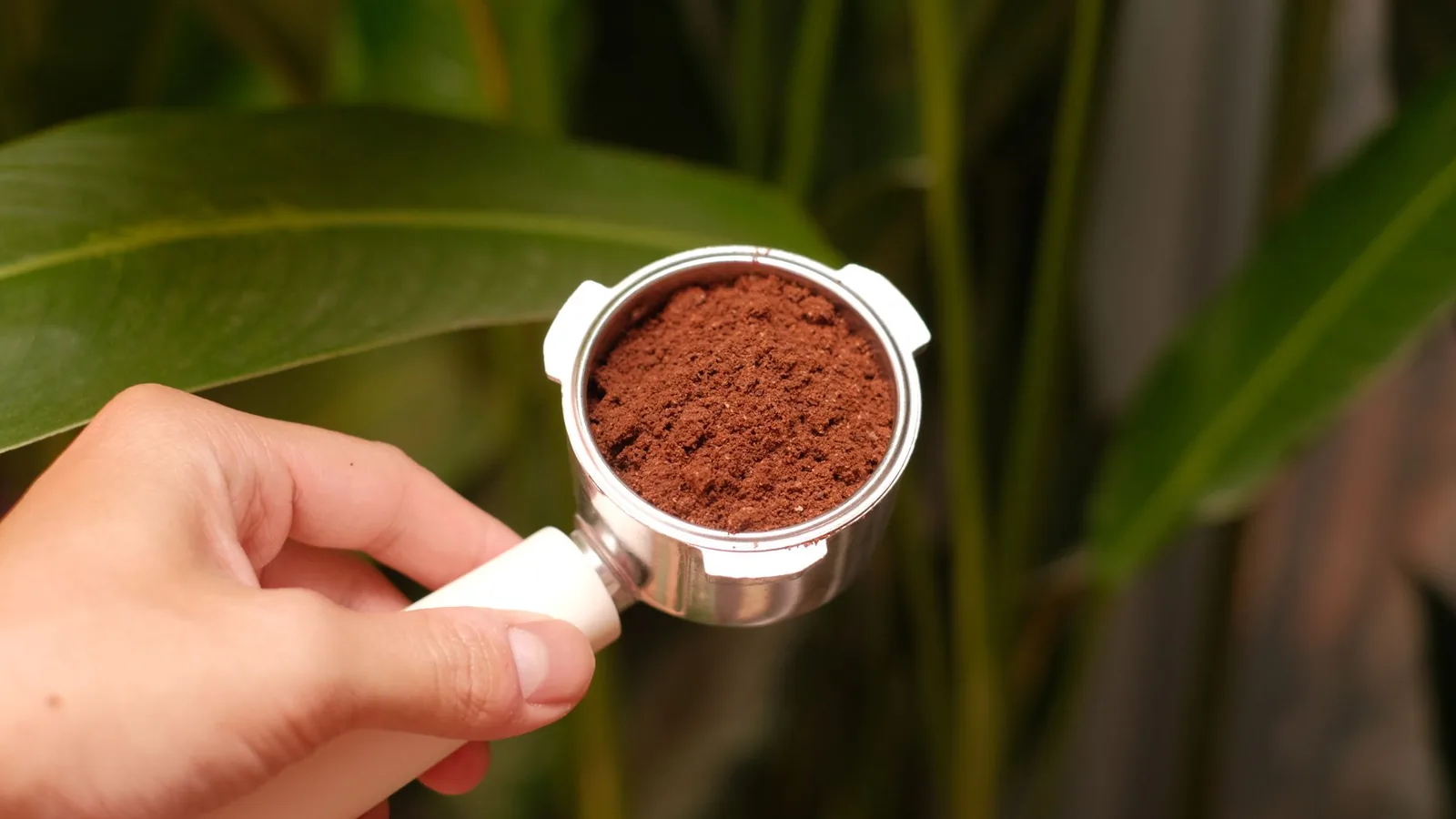 Como acertar a dose de café sem balança