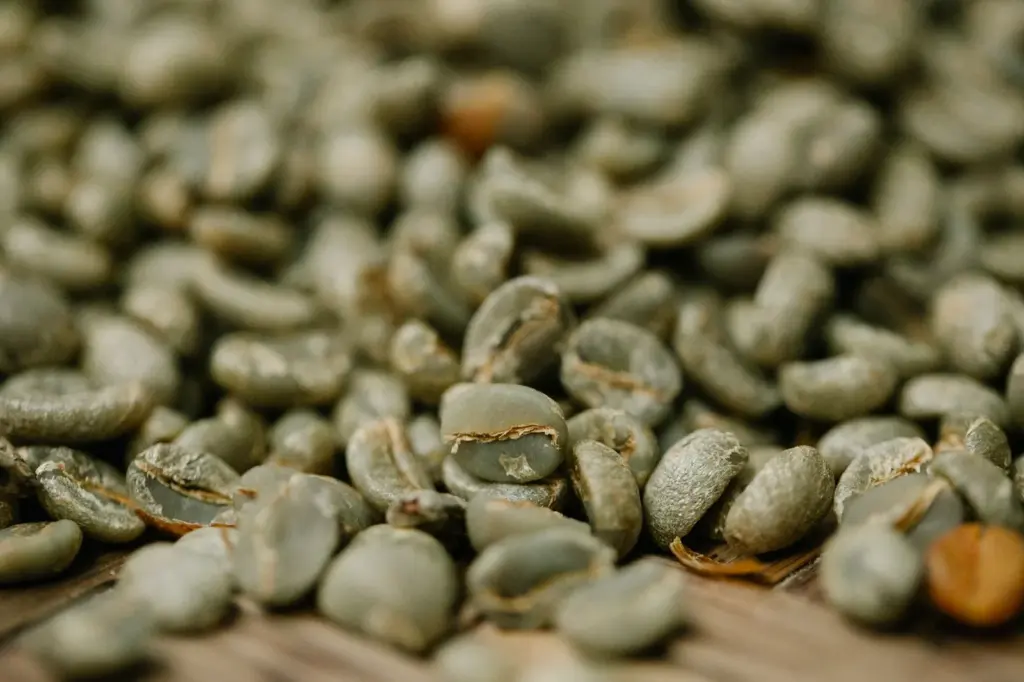 Grão cru x torrado: o que muda do verde à xícara