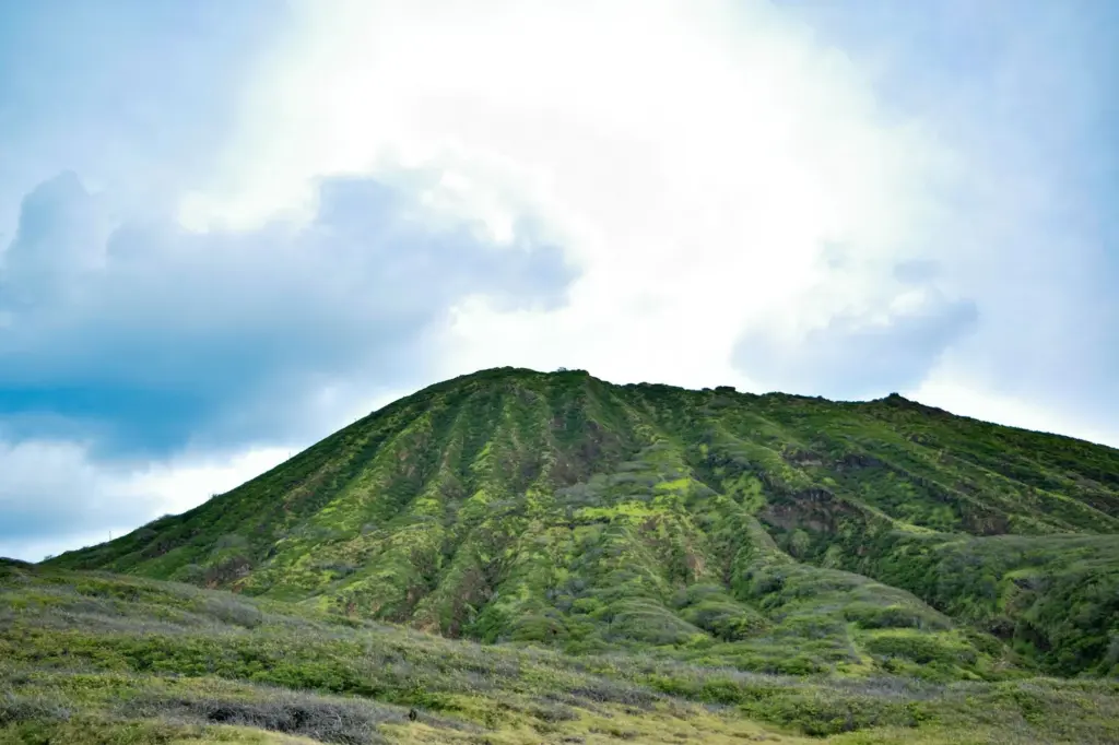 Kona: o café do Havaí