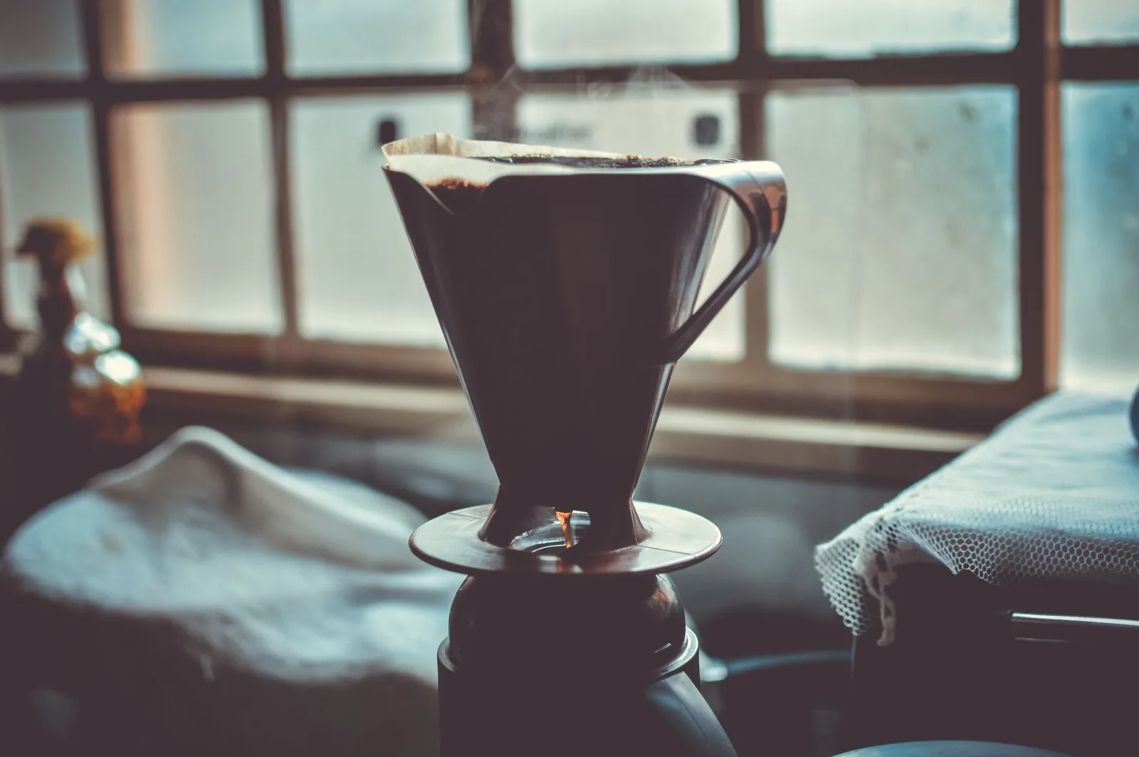 Melitta Bentz: a dona de casa que inventou o filtro de papel