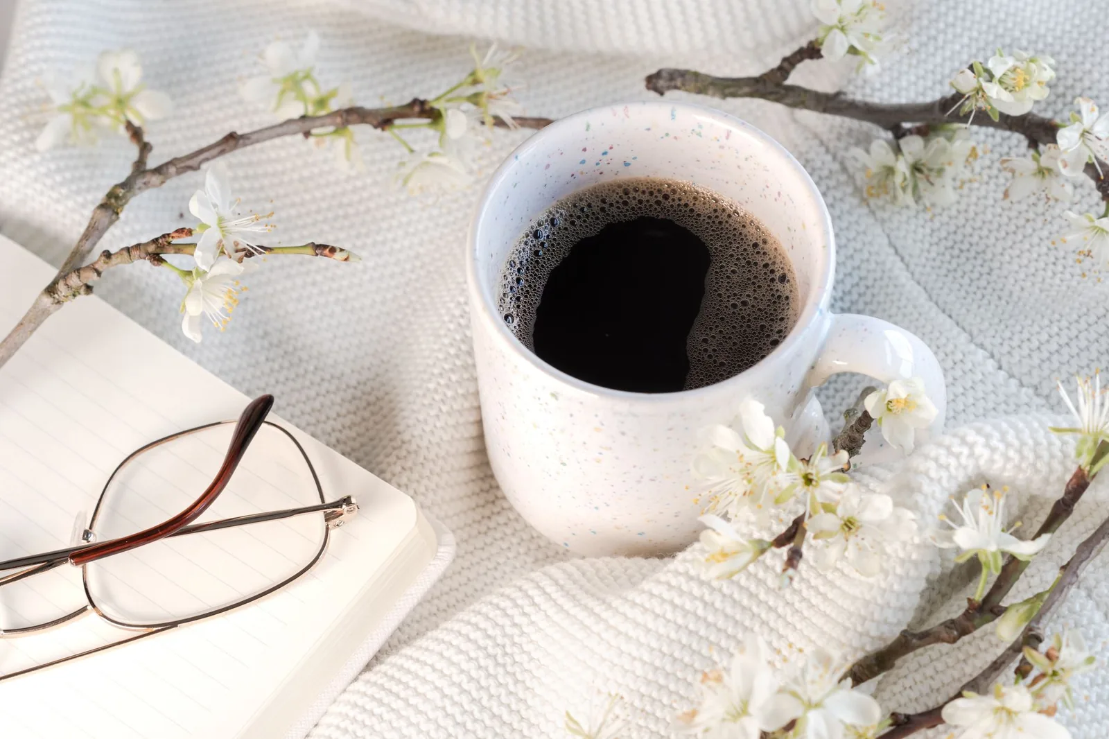 Mundo Novo: o cruzamento que mudou o café do Brasil