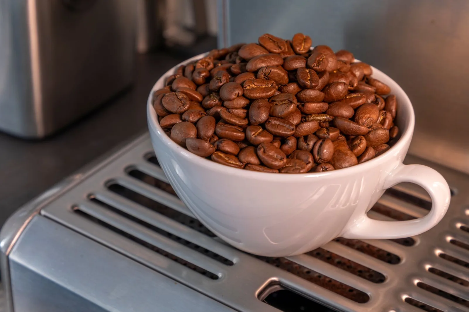 O que é café de especialidade (specialty)
