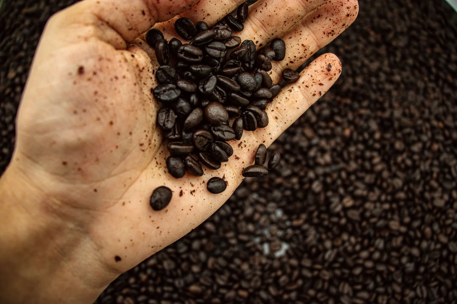 O que é café microlote