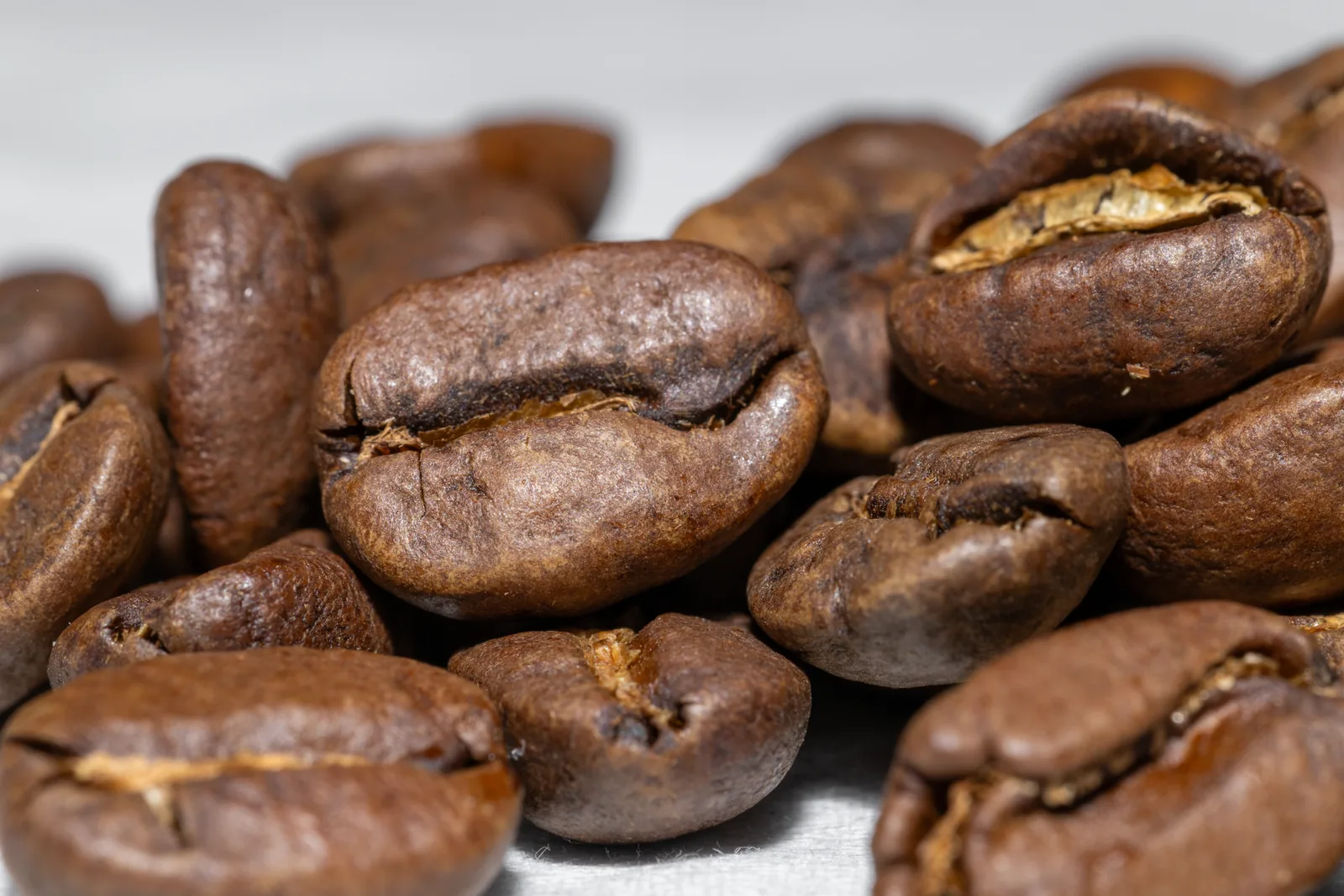 Pacamara: a variedade gigante de El Salvador