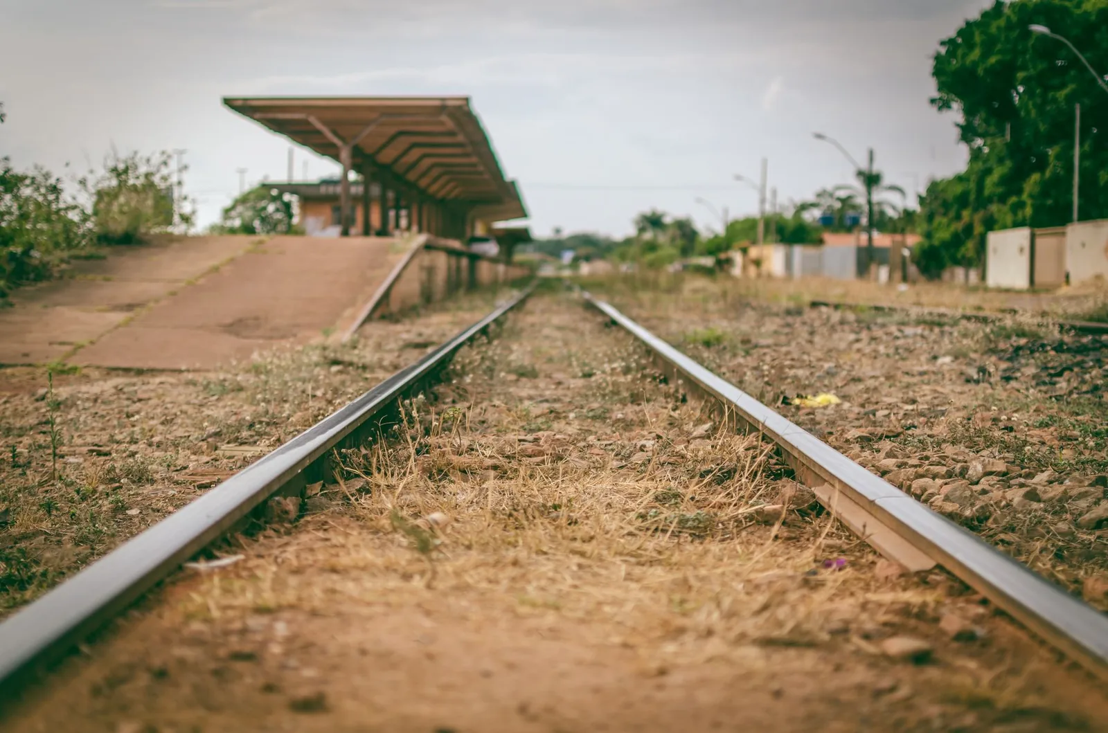 O trem do café: as ferrovias que o grão construiu no Brasil