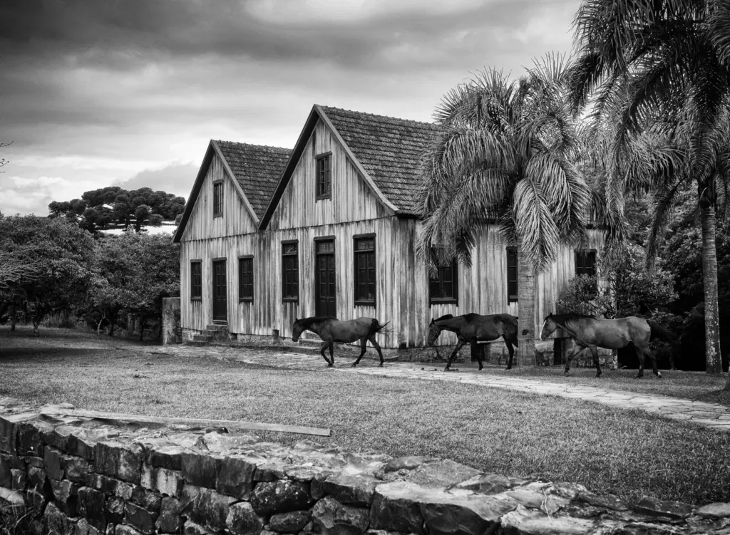 O Vale do Paraíba e o ciclo do café no Brasil