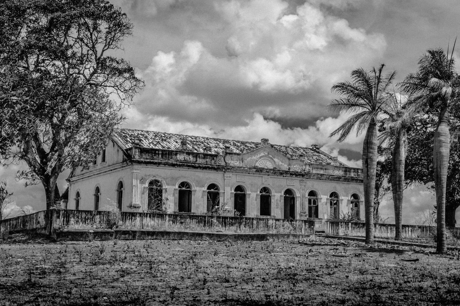 O Vale do Paraíba e o ciclo do café no Brasil