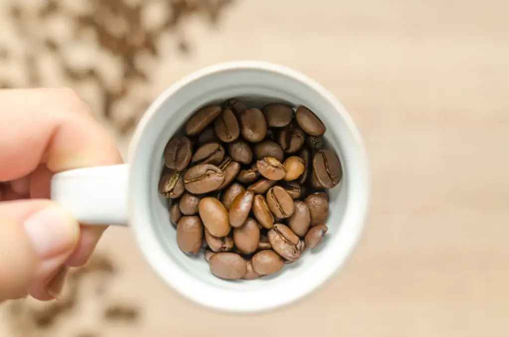 Notas de chocolate ou frutas? Entenda o vocabulário do café